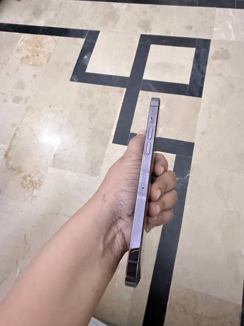 iPhone 14 Pro Max 5