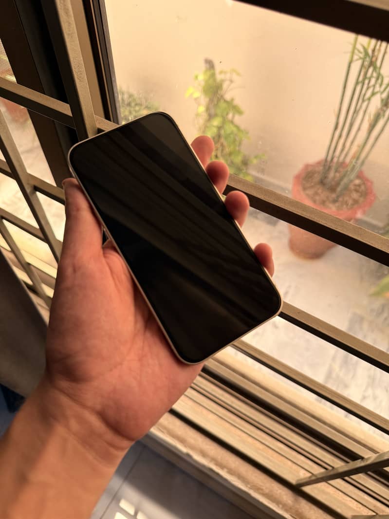 Apple iPhone 13 1