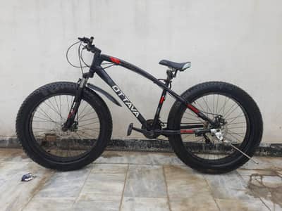 Fat Tyres Bicycle