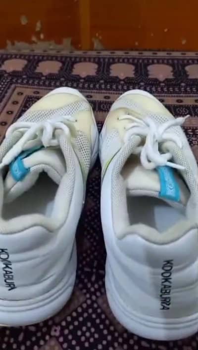 Men's Casual Shoes Size UK 8 - Barely Used