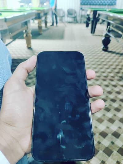 Apple iPhone 13 Pro Max factory unlock 0307-----69***51*8-**000