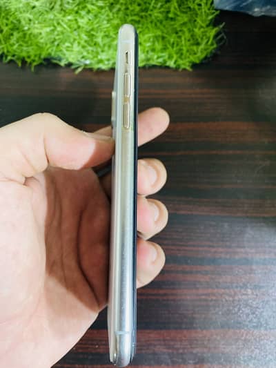 Apple iPhone X