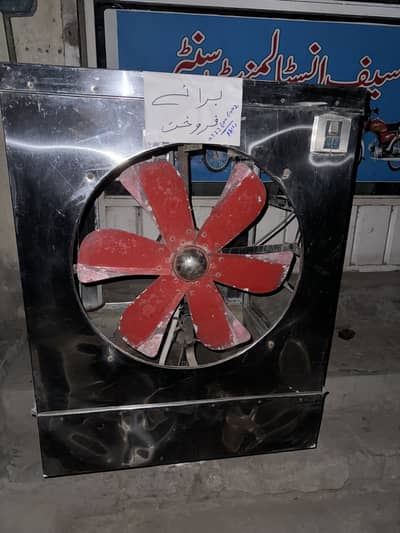 Hir kolar