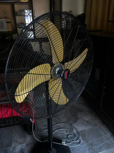 Bico Fan