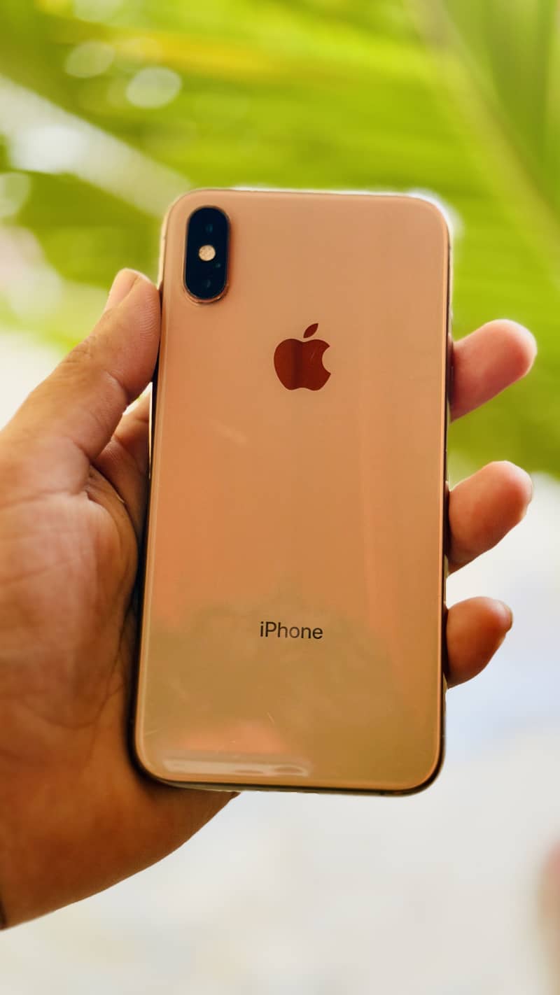 Iphone Xs 2