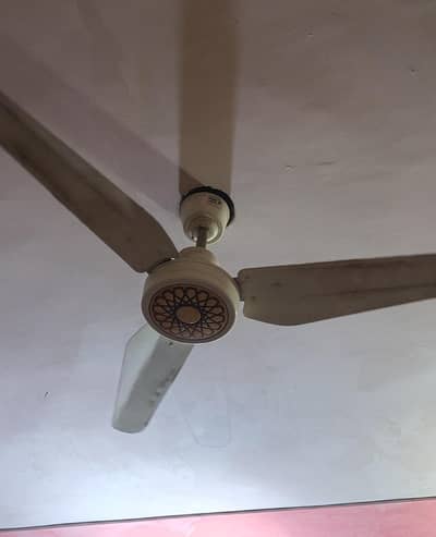 pak-fan 6 selling fan