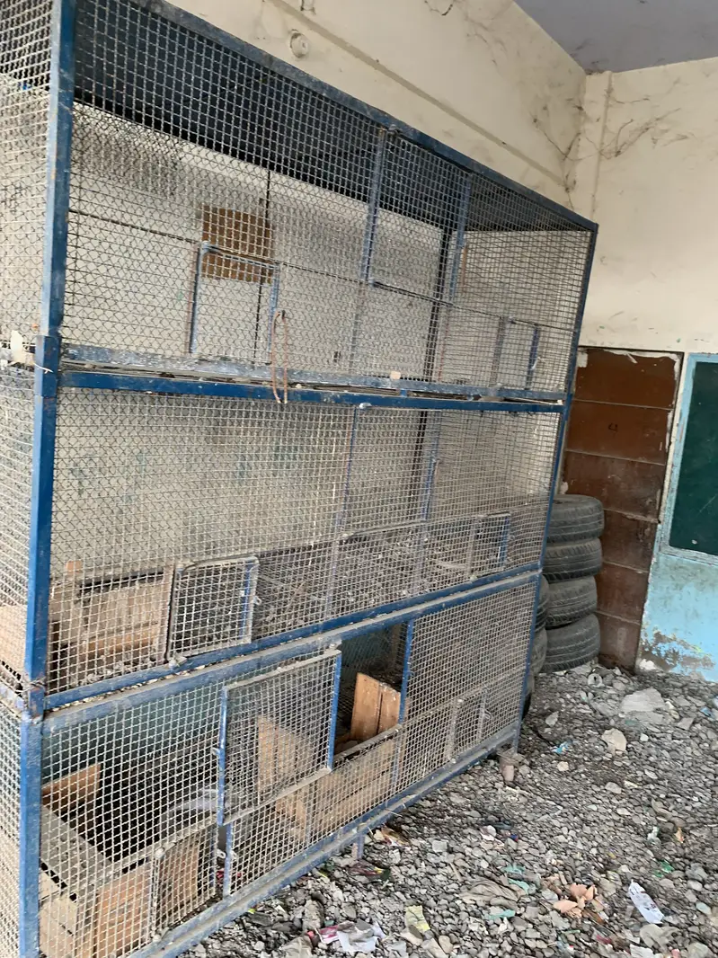 3 Story Pinjhra — photo 2