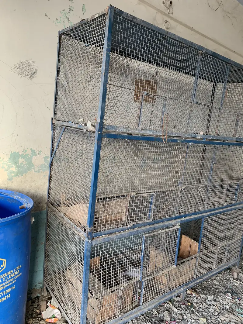 3 Story Pinjhra — photo 3