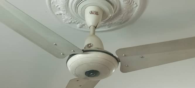 GFC Ceiling Fans for sale
