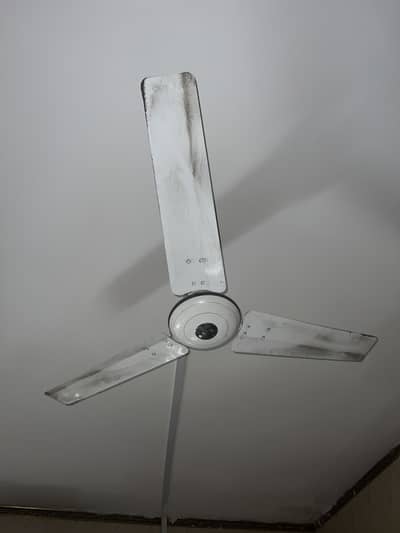 Royal ciling fan
