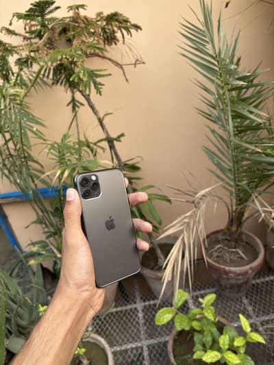 iPhone 11 Pro non pta 256GB all ok