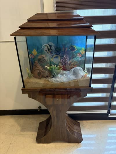 Complete Aquarium Set For Sale