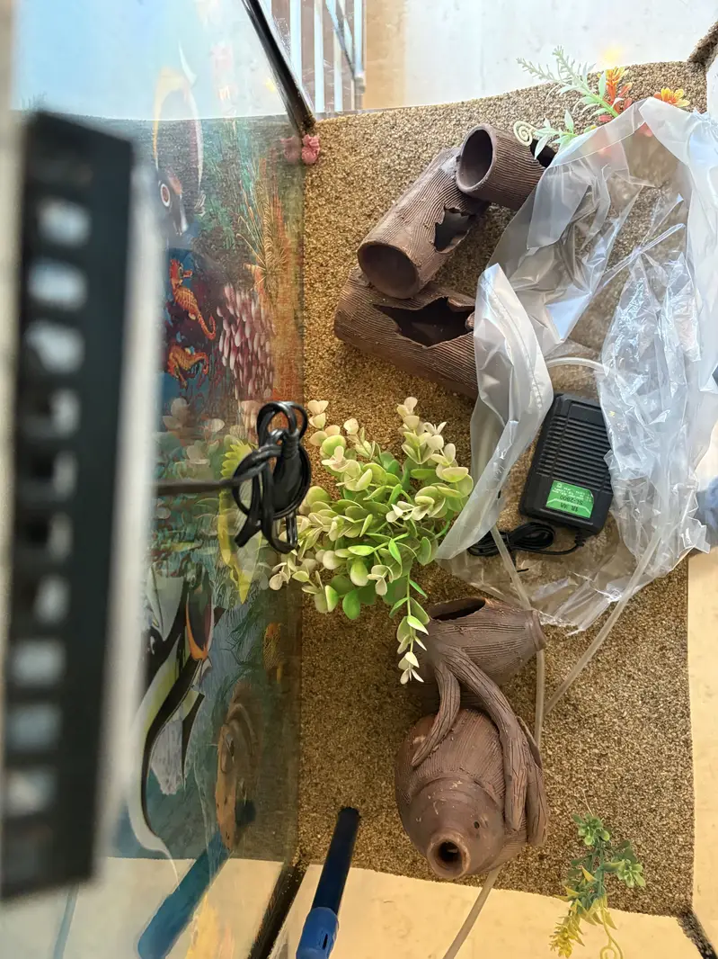 Complete Aquarium Set For Sale — photo 5