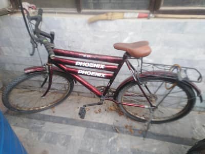 Phoniex Bicycle with Good Condition -For  13 to 14 Boys