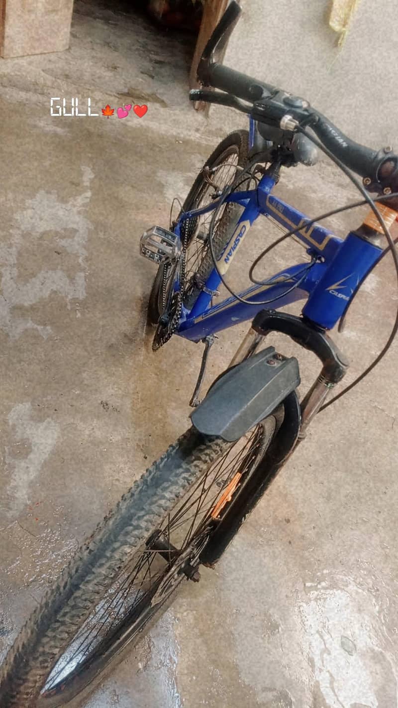 Bicycle 4