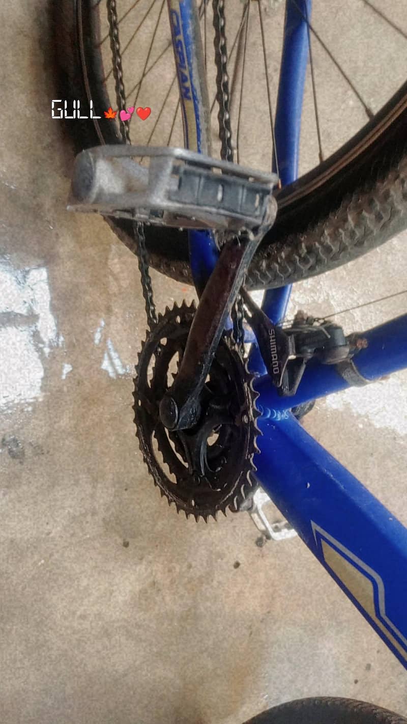 Bicycle 5