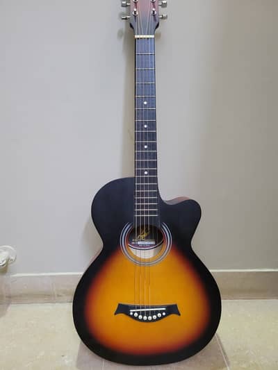 Swift Horse Genion Imported Guitar - 10/10 Condition