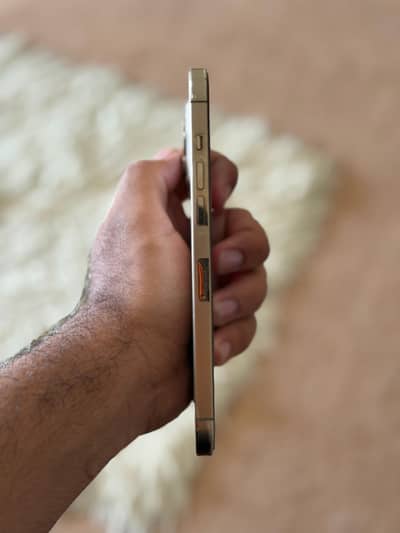 Apple iPhone 12 Pro Max
