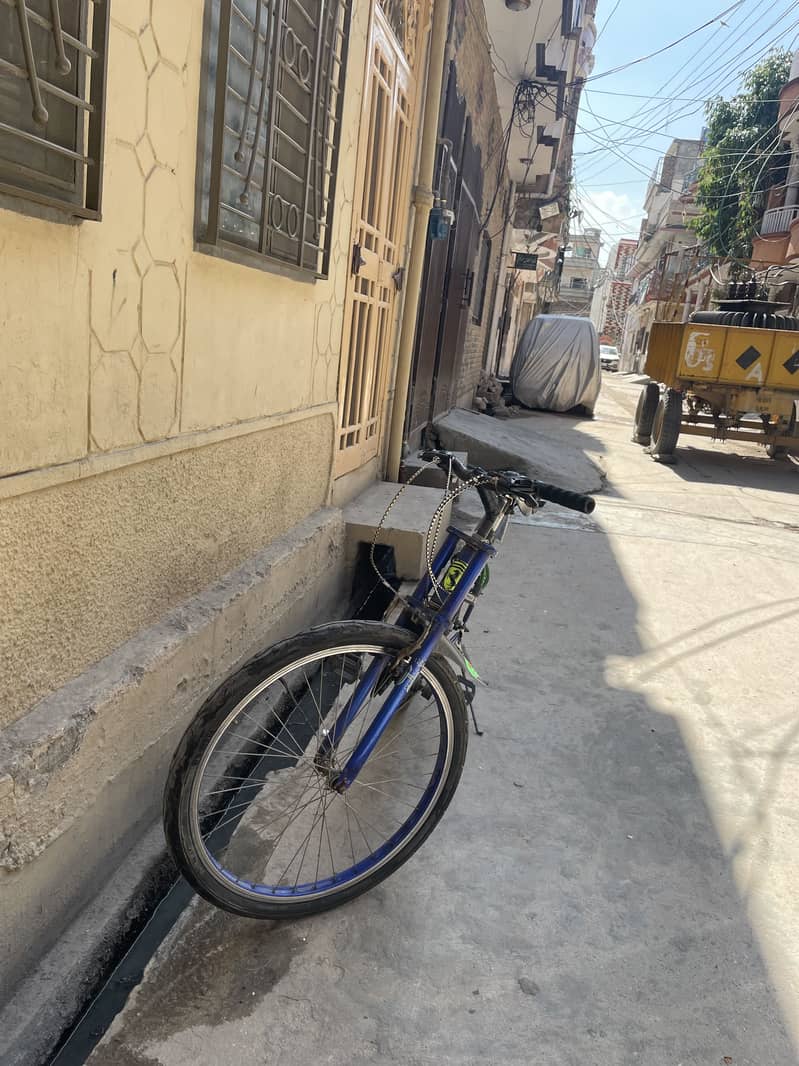 Cycle big size (03335948331) 3