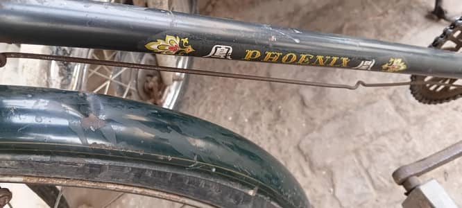 ok bicycles 10 by 10 chaina bicycles