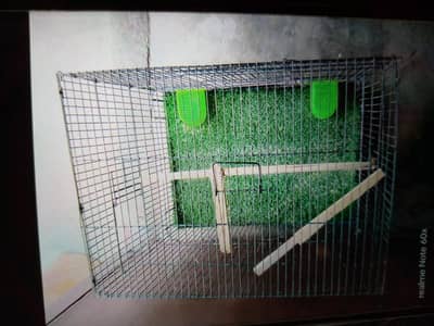 gd condition Cage