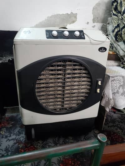 Indesit Cooler