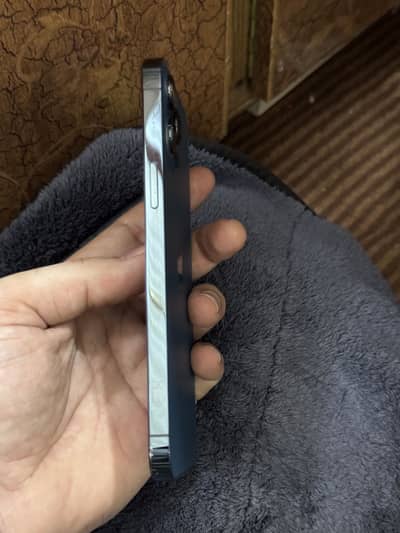 12 Pro Max display change