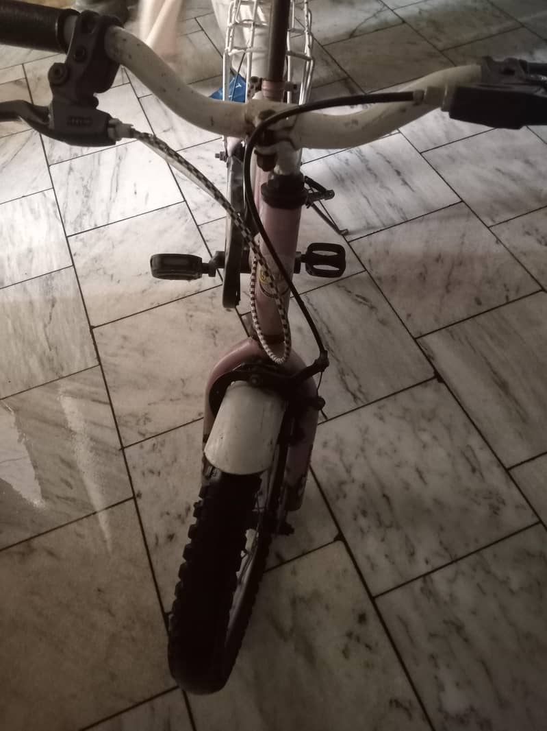 CYCLE 6