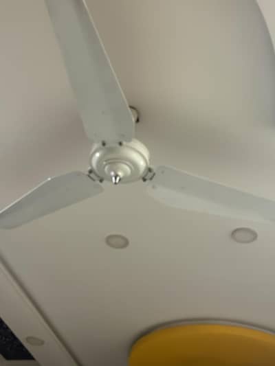 Makkah model fans brand new