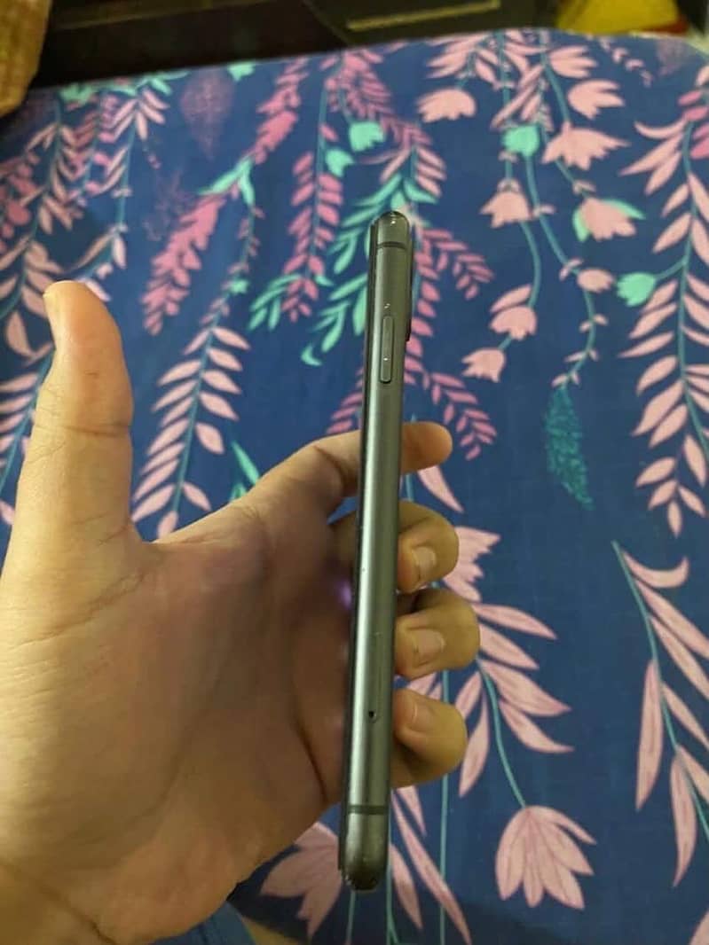 Apple iPhone 11 2