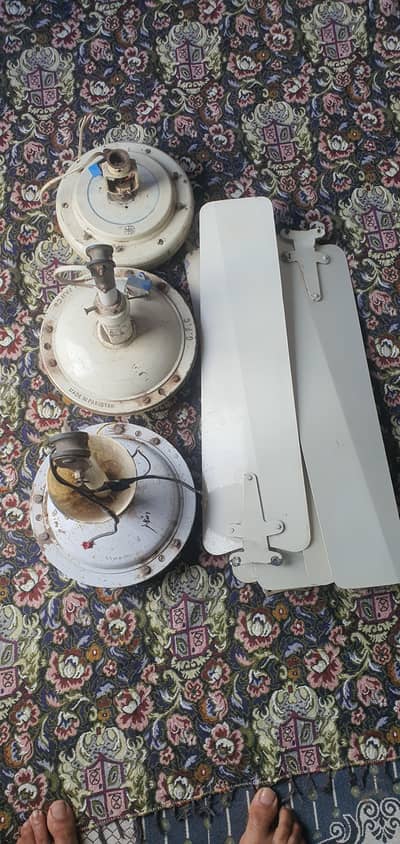 3 fans for sale