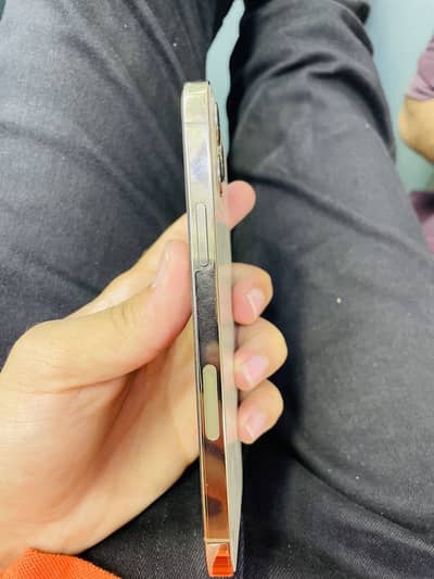 Apple iPhone 12 Pro