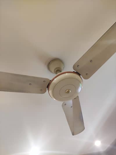 Standard Ceiling Fans for Sale