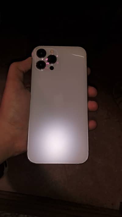 Apple iPhone 12 Pro Max