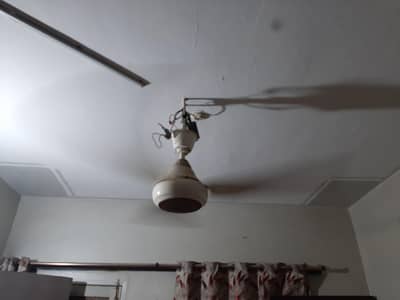 Ac DC fan for sale