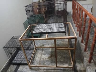 cages + frame available