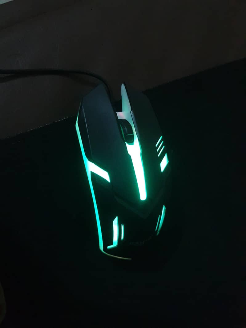 ramko mouse 1