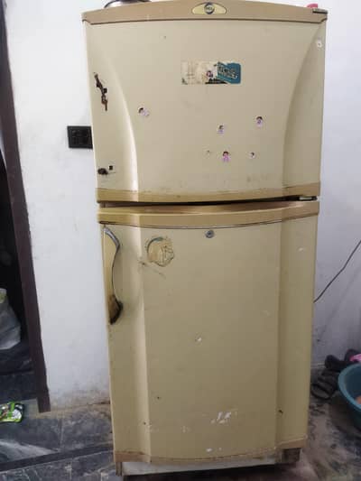 pel fridge for sale