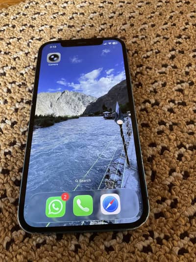 Apple iPhone 12