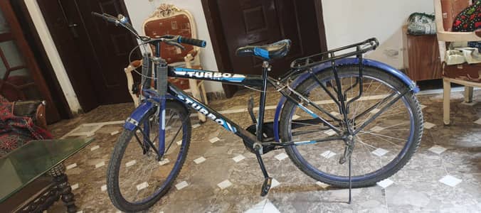 18 inch cycle
