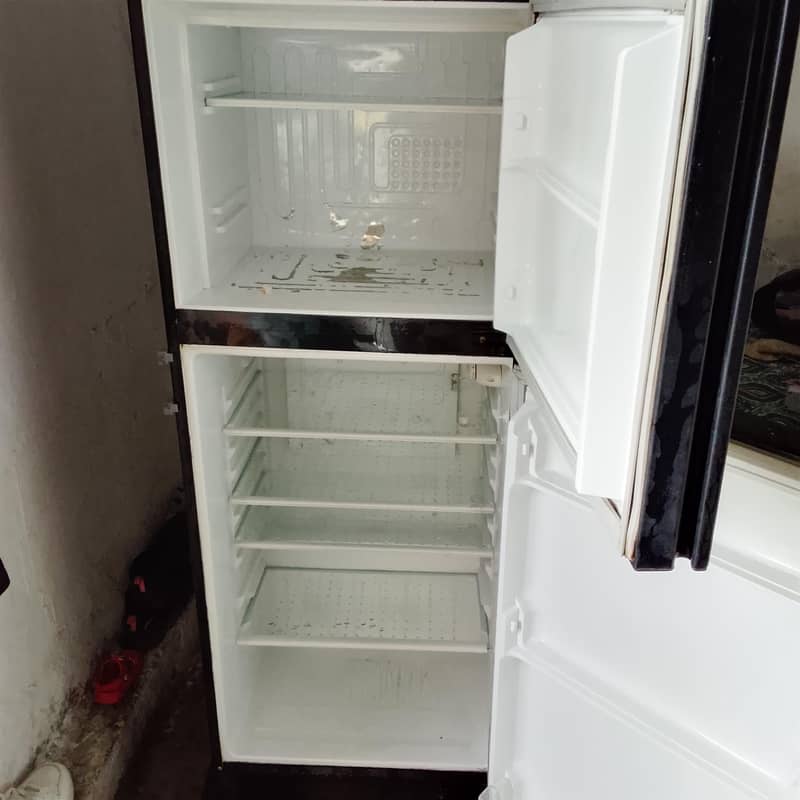 freezer 2