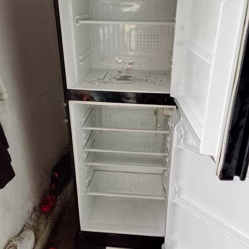 freezer 3