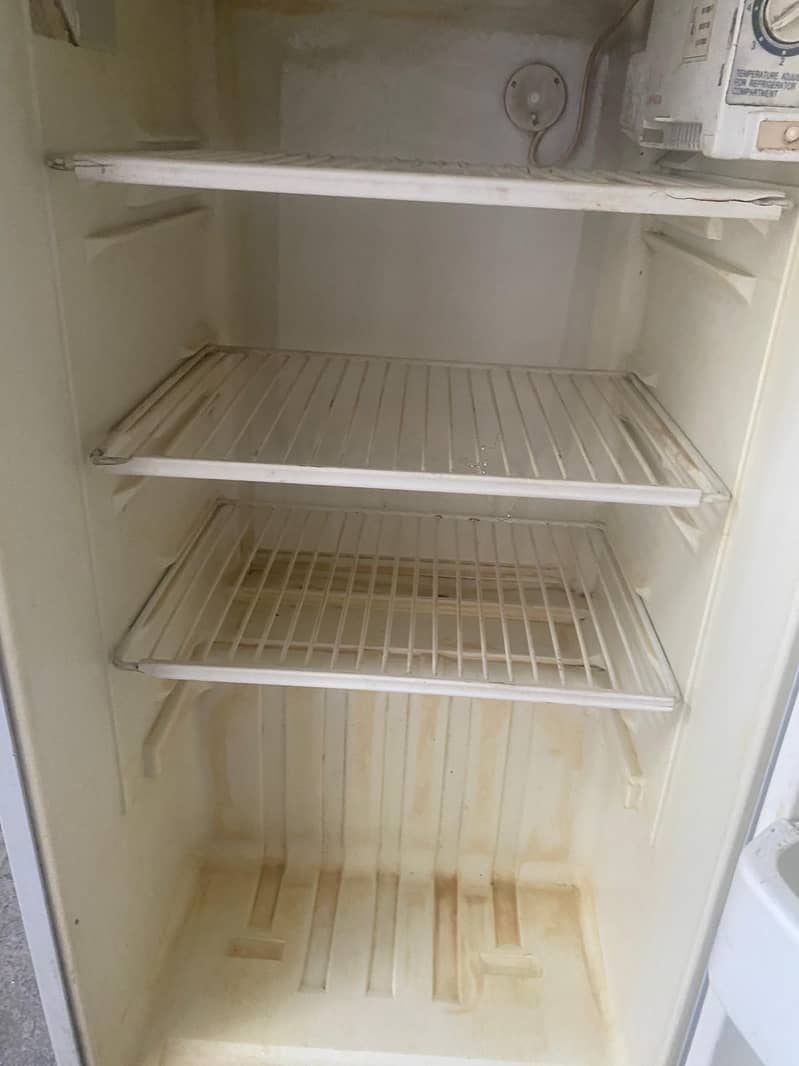 fridge 1