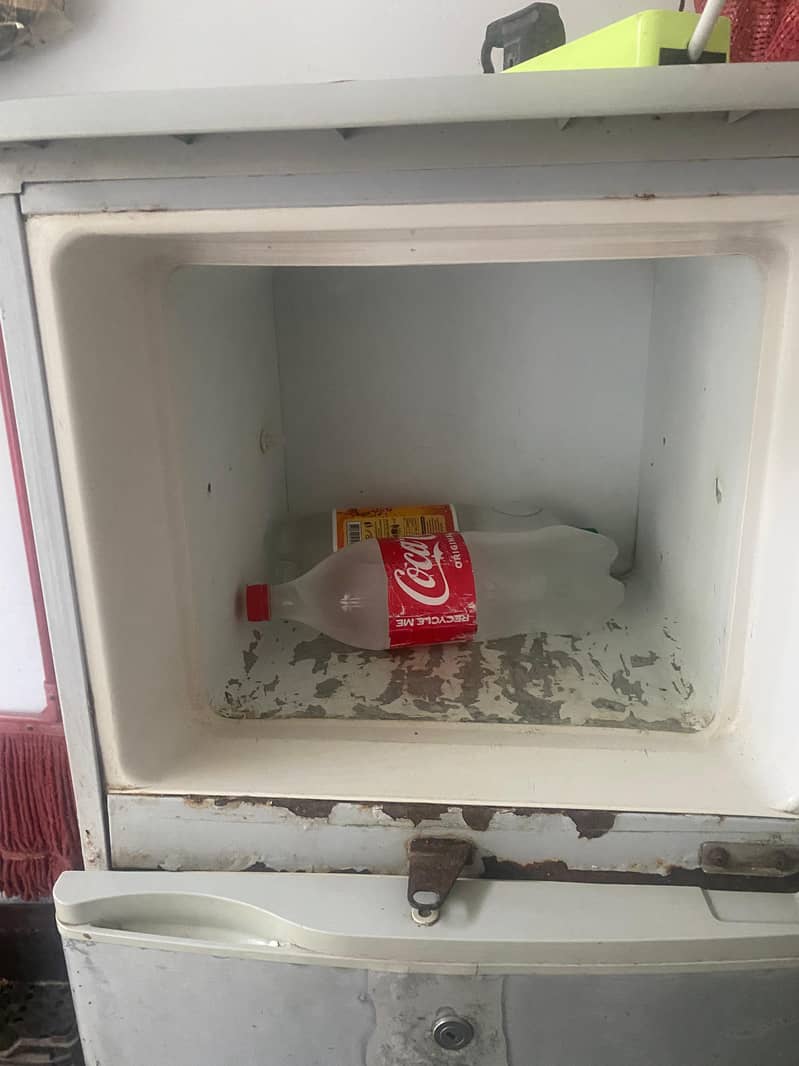 fridge 2