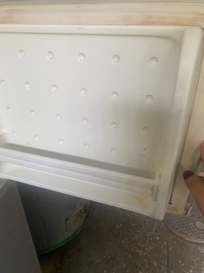 fridge 3