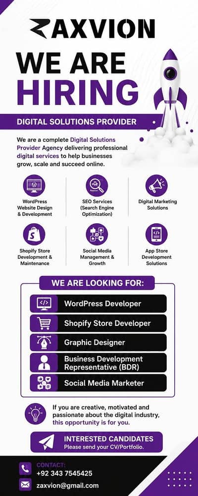 WordPress Developer