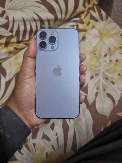 13 PRO MAX 256GB DUAL PYSICUAL PTA ALL OK
