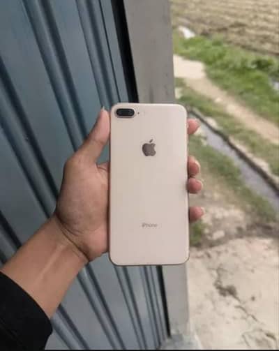 iphone 8 plus