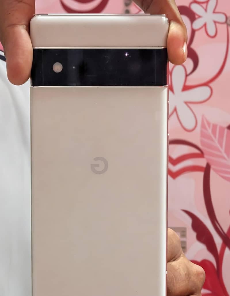 Google Pixel 6 Pro 0