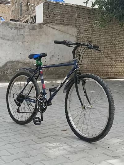 Japanese Sports Bicycle Just Buy and Ride